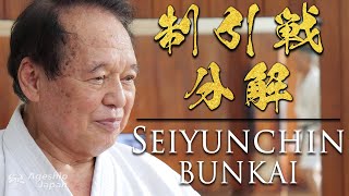 Karate Kata  Seiyunchin Bunkai  Follow along with a Grand Master  Ageshio Japan [upl. by Aspa]