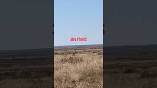 65 PRC Pronghorn at 304 Yards [upl. by Okoyik392]