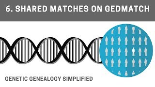 Viewing Shared Matches on GEDmatch [upl. by Eetsim]