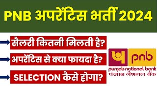 PNB apprentice 2024  PNB apprentice kya hota hai  PNB apprentice salary  PNB apprentice syllabus [upl. by Gnal989]