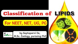 Classification of Lipids [upl. by Atsev]