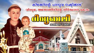 12 OCTOBER 2024  ദിവ്യബലി  ST ANTONYS SHRINE CHETTIKKAD [upl. by Akibma]