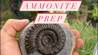 Preparation Of A Fossil Ammonite Full Length [upl. by Terrell734]