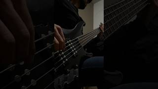 Rayando el Sol  Xavi Bass Cover [upl. by Alilahk]