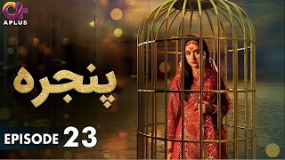 Pakistani Drama  Pinjra  Episode 23  Aplus Gold  Yumna Zaidi Nauman Aijaz  CZ1O [upl. by Emmi629]