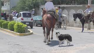 🐴CABALGATA CHARRA en HUEJUCAR jalisco [upl. by Dimitri]