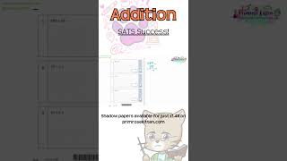 KS2 Maths  Models and Solutions  Shadow Paper Walkthrough [upl. by Macrae286]