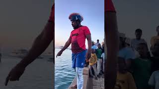 Funniest dolphins in zanzibar beach shorts zanzibar viralvideo [upl. by Frager]