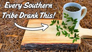 Native Southern Tribes Discovered This Ancient Caffeinated Drink [upl. by Nosnaj994]