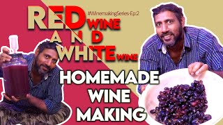 Homemade Wine Making quotRed Wine and White Winequot  Johnpranu wine howtomakewine [upl. by Ettenad]