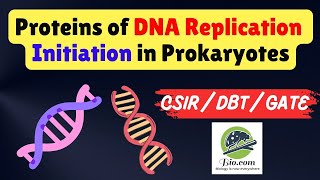 DNA Replication Initiator Protein in Prokaryotes  Replication Fork Proteins  Biodotcom  csir [upl. by Atiuqrehs375]