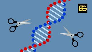 Diving into CRISPR 2024 The Next Frontier of Genetic Engineering [upl. by Ynnahc]