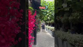 travel georgiatour love visitgeorgia tbilisi [upl. by Jeffries675]