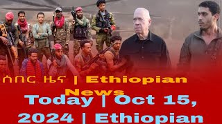 ሰበር ዜና  Ethiopian News Today  Oct 15 2024  Ethiopian [upl. by Wadesworth449]