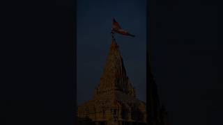 ‼️Dwarkadhish‼️ rammadhavdevbhoomireels krishna viralvideos bihardwarkadhishji dwarka [upl. by Elam]