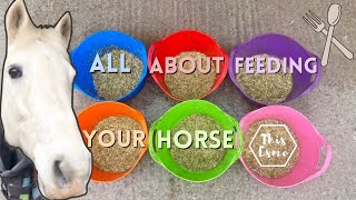 All About Feeding Your Horse Beginners Series AD  This Esme [upl. by Analla]