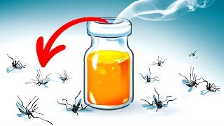 15 Natural Ways to Get Rid of Mosquitoes in Your Yard [upl. by Jer]