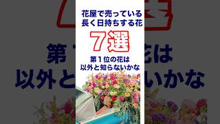 花屋さんに売っている日持ち【コスパ】の良い花7選〜1位のお花はあのお花です [upl. by Robins229]