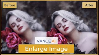 How to enlarge image online with Vance AI Image EnlargerLow to High [upl. by Ebag122]