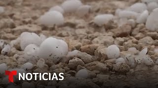 La caída de granizo causa estragos en Texas y Florida  Noticias Telemundo [upl. by Akirehc]