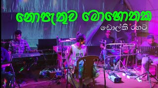 Nopathuwa mohothaka new song  milinda sandaruwan cover  Surangana jayalath Radhaa live band [upl. by Groeg]