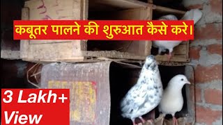 पहली बार कबूतर कैसे पाले  Kabutar Rakhne Ki Suruaat Kaise Kare  How to Keep Pigeon [upl. by Guilbert]