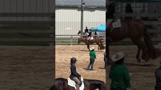 horse show vlog fypシ゚viral [upl. by Leiahtan841]