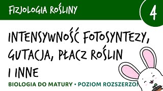 Intensywność fotosyntezy gutacja płacz roślin i inne  Fizjologia roślin 4  matura z biologii [upl. by Christmas]