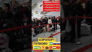 АЭРОПОРТ ‼️✈️🇷🇺🇺🇿САНКТПЕТЕРБУРГ УЗБЕКИСТАН 16ЯНВАРЬ КЕЧКИ РЕЙСЛАР aviasurhon shortvideo layk r [upl. by Dazraf648]