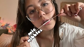 ASMR lofi apple mic nibbling and mouth sounds [upl. by Aisatana520]