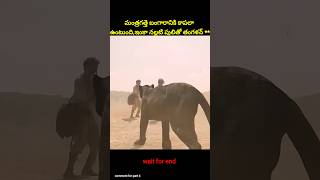 ⚡⚡💥Most Interesting amazing facts Telugu⚡💥⚡teluguviraltrending shortsytshortsshort [upl. by Dacy]