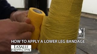 How to Apply Lower Leg Bandage [upl. by Haig]