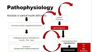 diabetic ketoacidosis DKAکیتو اسیدوز دیابتی pathogenesis of DKA management of DKA diabetescare [upl. by Kassel]