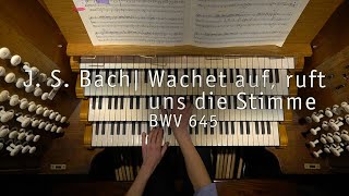 Bach Wachet auf BWV 645  John Challenger Salisbury Cathedral [upl. by Calen760]