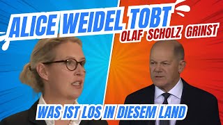 ALICE WEIDEL 👉🏼👉🏼👉🏼 1 BILLION T€UROS Steuereinnahmen aber das Land verarmt [upl. by Cyndi]