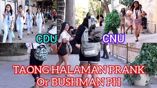 TAONG HALAMAN PRANK OR BUSHMAN PH CDU CNU amp APM CENTRALEquot♥️😁 [upl. by Moonier]