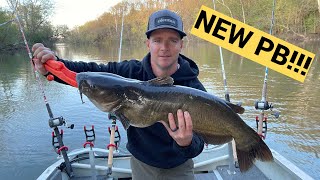 Huge Catfish Using Cut Trout New PB [upl. by Tuorah]