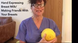 How to hand express breast milk in pregnancy and post birth [upl. by Towrey]