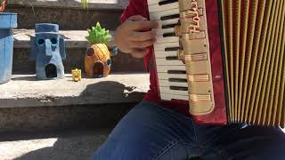 The Rake Hornpipe Krusty Krab Theme SpongeBob SquarePants Accordion Cover 🎼🎹🎵 🇲🇽 [upl. by Attaymik]