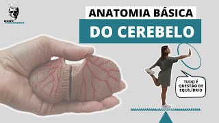 ANATOMIA BÁSICA DO CEREBELO 15 [upl. by Dnilazor]