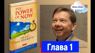 Экхарт Толле  Сила настоящего  Сила момента сейчас  аудиокнига [upl. by Robinson333]