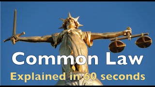 Common Law Explained in 60 seconds [upl. by Hartill]