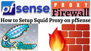 pfsense squid proxy configuration step by step pfsense squid pfsense squid transparent proxy https [upl. by Macy783]