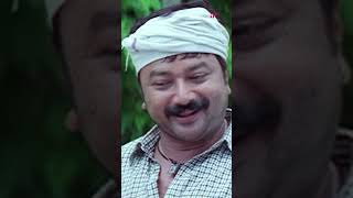 Watch 👆 Manassinakkare Movie Scenes manassinakkare jayaram nayanthara sheela innocent shorts [upl. by Akemhs771]