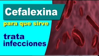 CEFALEXINA para que sirve reacciones infeccion respiratoria [upl. by Lacie]