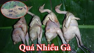 SĂN GÀ RỪNG ĐÊM NGỦ RỪNG  T4  THỢ NÚI [upl. by Ybrad68]