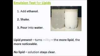 Biochemical Tests for Molecules  A Level AS Biology Revision [upl. by Eicram]