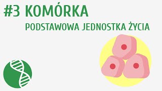 Komórka  podstawowa jednostka życia 3  Organizacja i chemizm życia [upl. by Ahsikit]