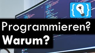 Warum sollte man Programmieren lernen [upl. by Cornelia879]