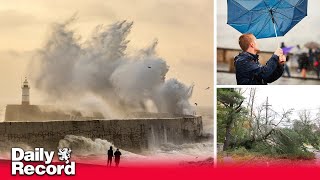 Storm Isha to batter UK as ‘rare’ weather cycle to bring extremely high winds and heavy rain [upl. by Ennahgiel]